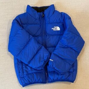 The North Face Vibrant Blue Insulated Jacket